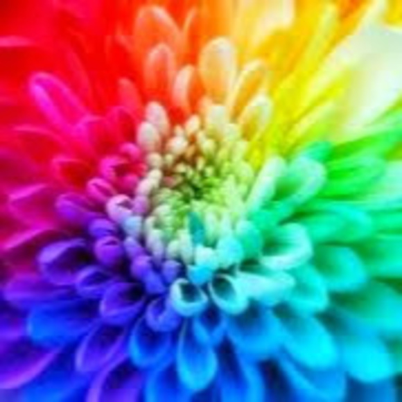 Meet your Posher, Lisa - Picture 1 of 1